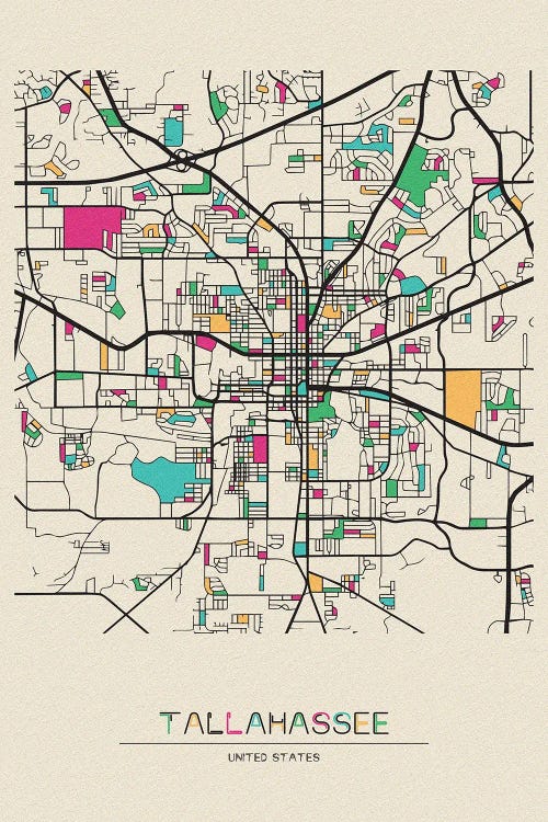 Tallahassee, Florida Map by Ayse Deniz Akerman wall art