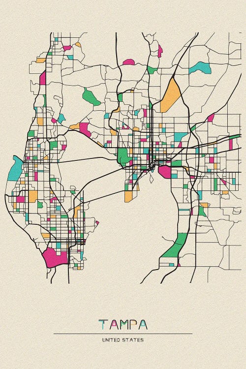 Tampa, Florida Map by Ayse Deniz Akerman wall art