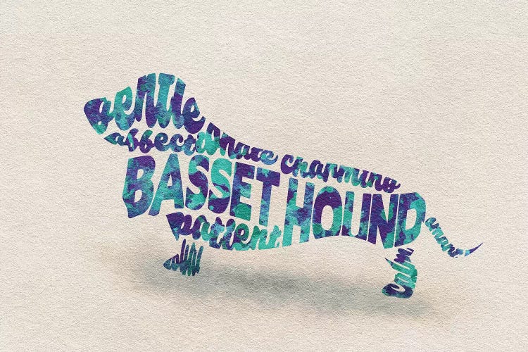 Basset Hound