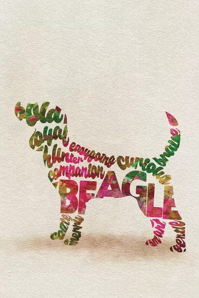 Beagle by Ayse Deniz Akerman metal wall art