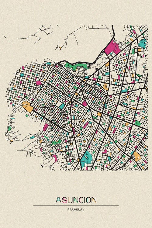 Asuncion, Paraguay Map by Ayse Deniz Akerman wall art