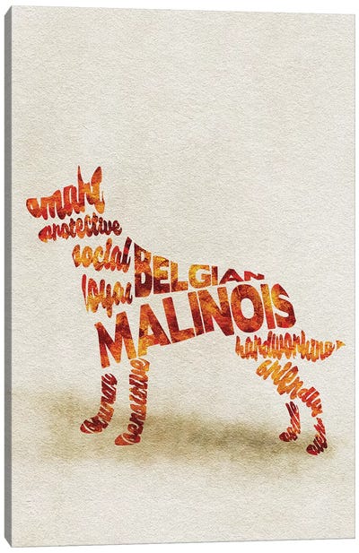 Belgian Malinois Canvas Art Print - Typographic Dogs