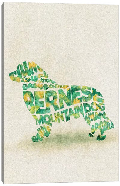 Bernese Mountain Dog Canvas Art Print - Typographic Dogs