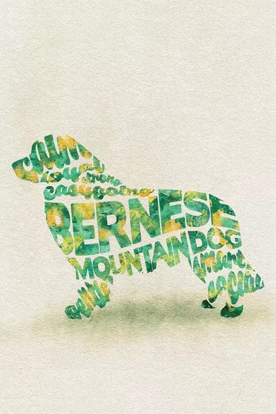 Bernese Mountain Dogs: Bernese Mountain Dog by Ayse Deniz Akerman