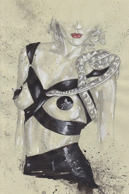 Devil Bondage by Adam Michaels wall art