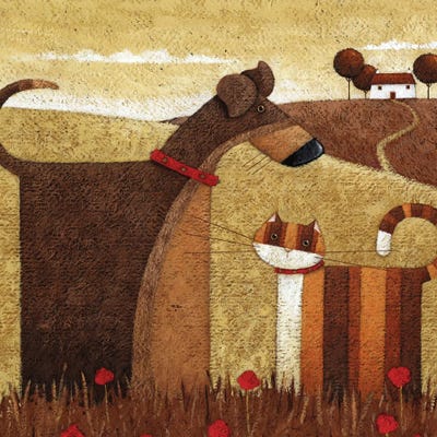 Poppy Field by Peter Adderley framed canvas print