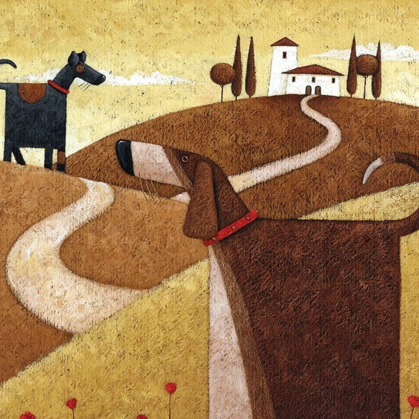 Pet Obsessed: Road To Tusc by Peter Adderley