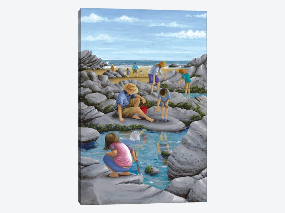 Rockpooling by Peter Adderley 1-piece Canvas Wall Art