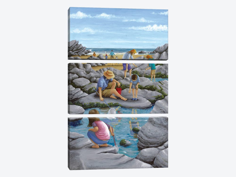 Rockpooling by Peter Adderley 3-piece Canvas Artwork
