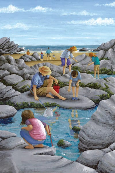 Rocky Beaches: Rockpooling by Peter Adderley