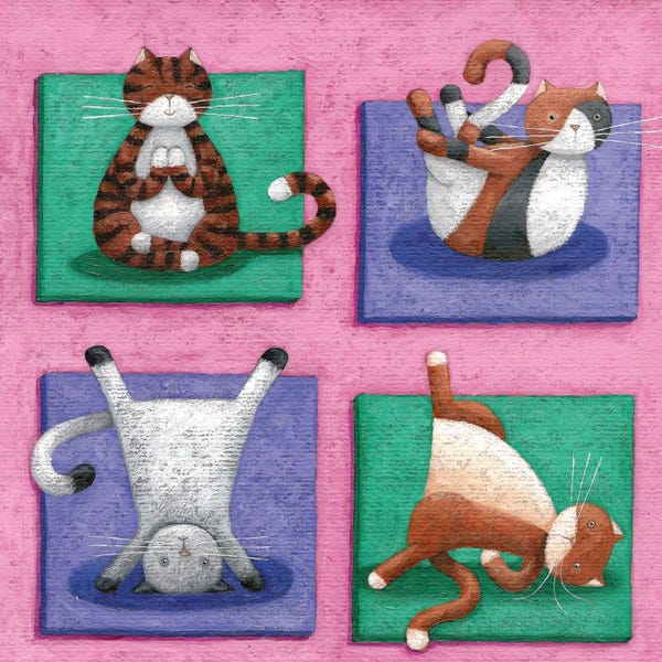 Yoga: Yoga For Cats by Peter Adderley