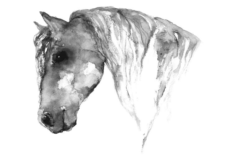 Grey Horse by ANDA Design wall art
