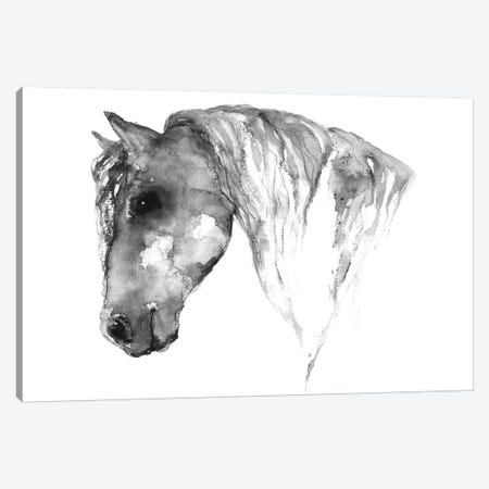Grey Horse Canvas Print #ADE21} by ANDA Design Canvas Print