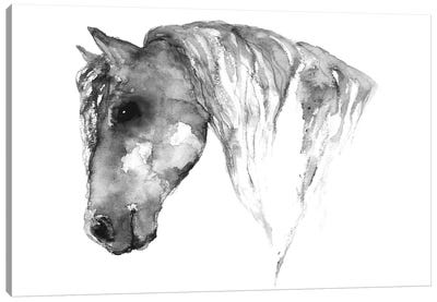 Grey Horse Canvas Art Print