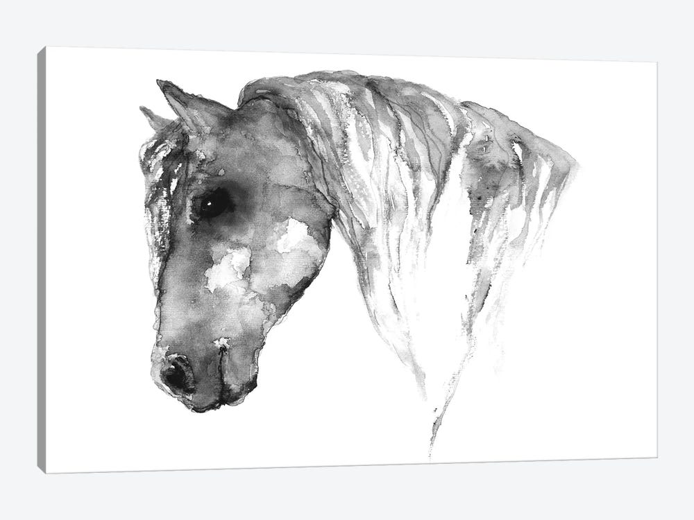 Grey Horse by ANDA Design 1-piece Canvas Print