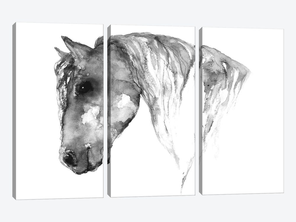Grey Horse by ANDA Design 3-piece Canvas Art Print