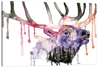 Hirsch Canvas Art Print - Elk Art