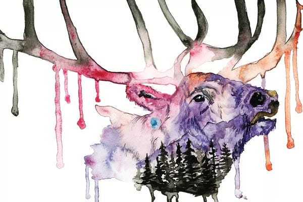 Elk: Hirsch by ANDA Design