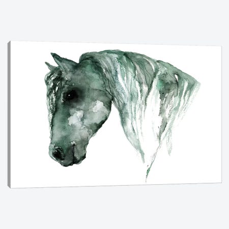 Horse Canvas Print #ADE26} by ANDA Design Canvas Artwork