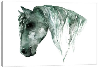 Horse Canvas Art Print - ANDA Design
