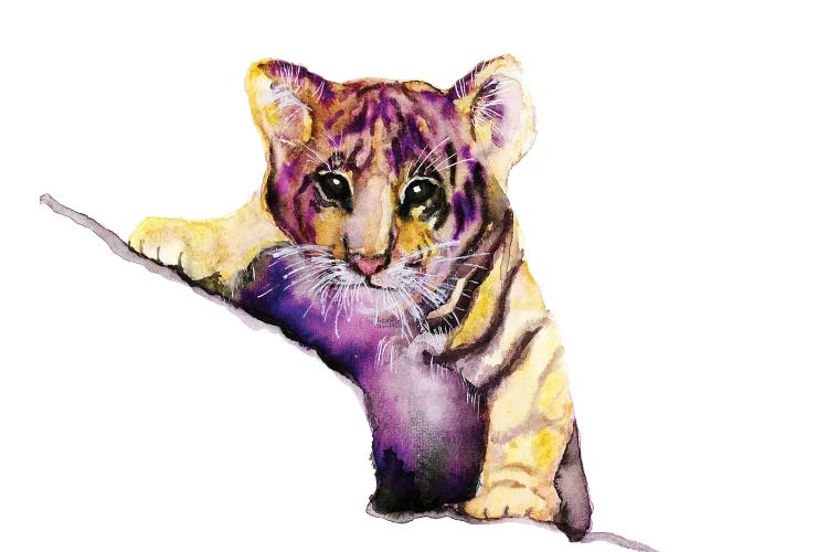 Little Tiger by ANDA Design wall art