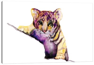 Little Tiger Canvas Art Print - ANDA Design