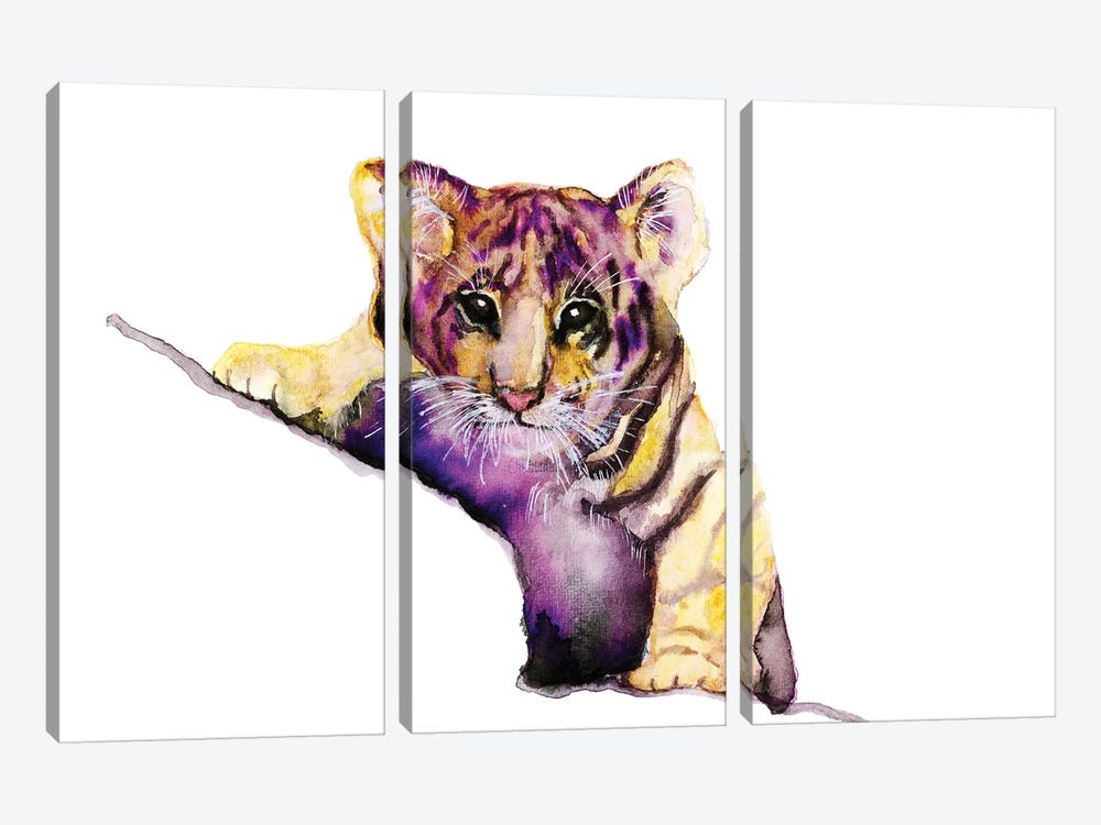 Little Tiger by ANDA Design 3-piece Canvas Wall Art