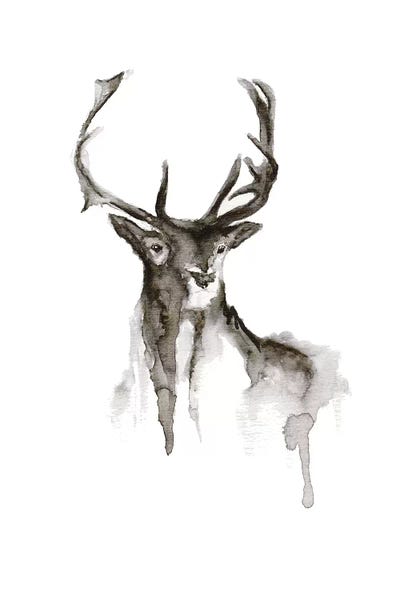 Patronus by ANDA Design canvas print