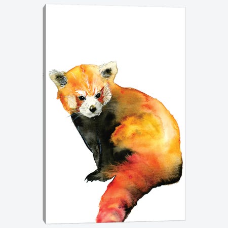 Red Panda Canvas Print #ADE47} by ANDA Design Canvas Art