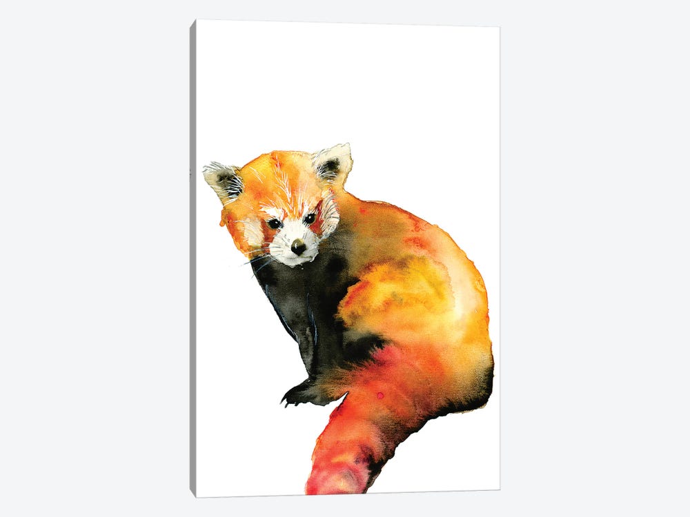 Red Panda by ANDA Design 1-piece Art Print