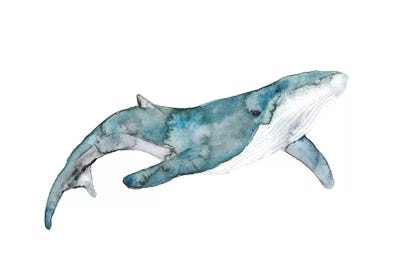 Whale by ANDA Design framed canvas print