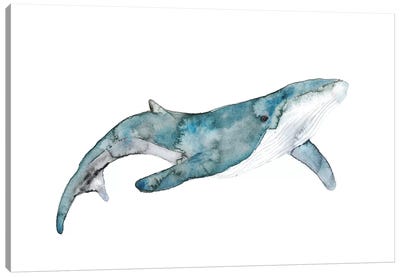 Whale Canvas Art Print