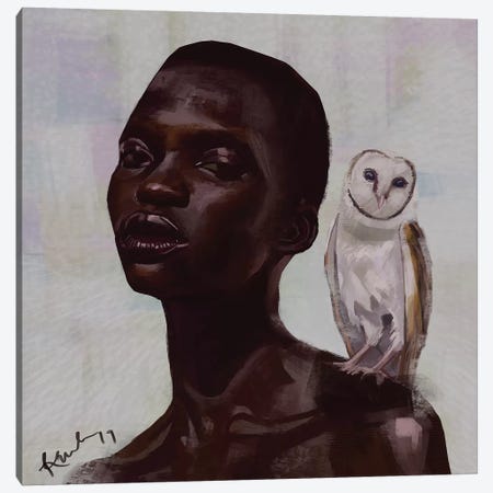 Barn Owl Canvas Print #ADK2} by Adekunle Adeleke Art Print