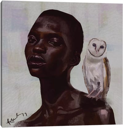 Barn Owl Canvas Art Print - Adekunle Adeleke