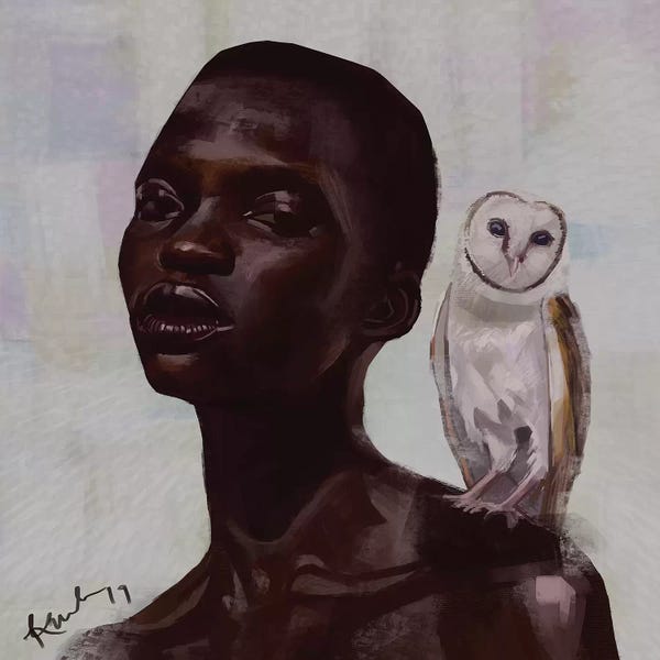 Fine Art: Barn Owl by Adekunle Adeleke