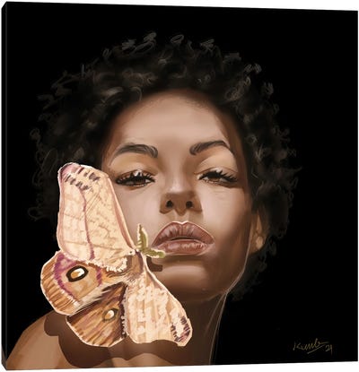 Moth Canvas Art Print - Adekunle Adeleke