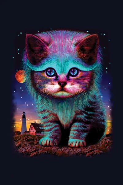 Waiting For My Fish by Adam Lawless framed canvas print