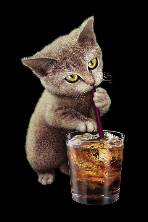 Cat & Soft Drink