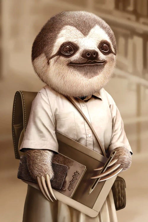 Sloth Go To School