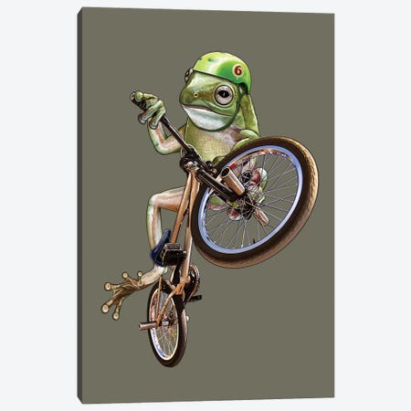 BMX Frog Canvas Print #ADL122} by Adam Lawless Canvas Art Print