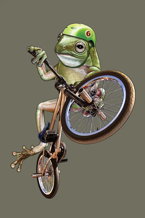 BMX Frog