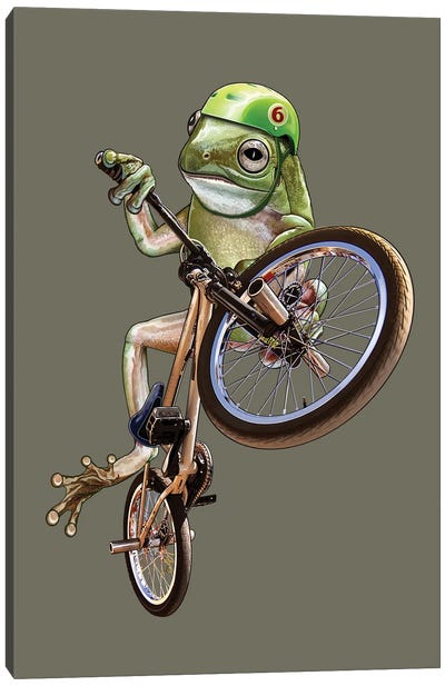 BMX Frog Canvas Art Print - Adam Lawless
