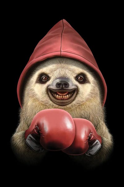 Boxing Sloth by Adam Lawless canvas print
