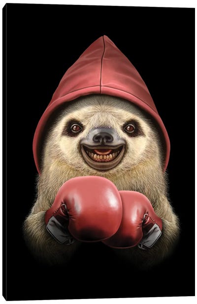 Boxing Sloth Canvas Art Print - Sloth Art