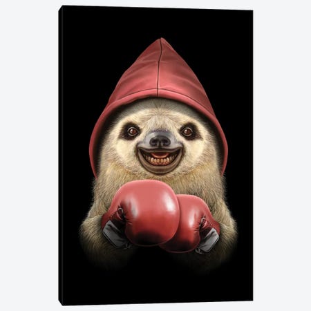 Boxing Sloth Canvas Print #ADL123} by Adam Lawless Art Print