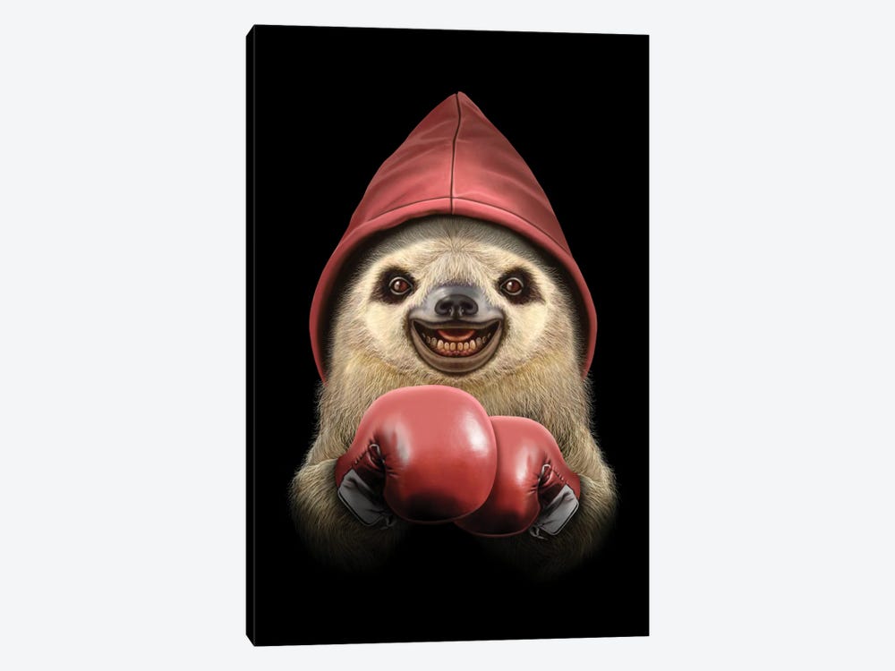 Boxing Sloth by Adam Lawless 1-piece Canvas Art