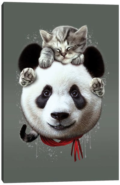Cat On Panda Canvas Art Print - Adam Lawless