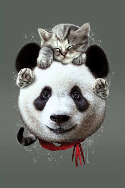 Pandas: Cat On Panda by Adam Lawless