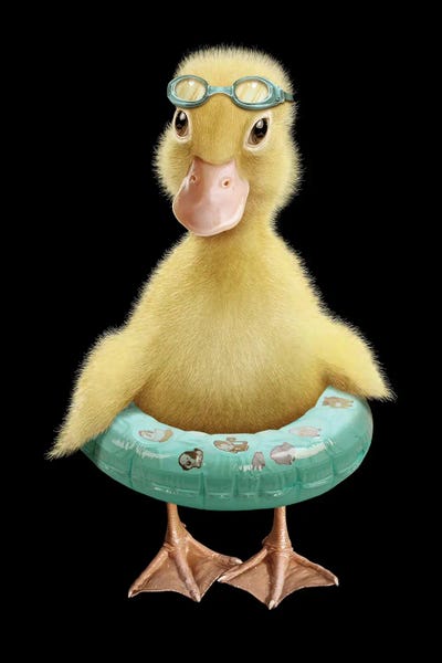 Duck by Adam Lawless canvas print