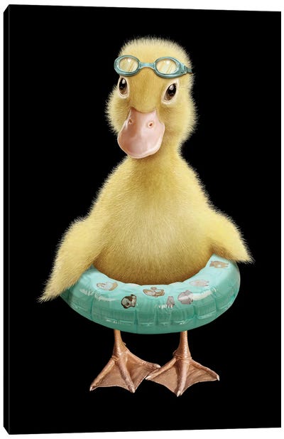Duck Canvas Art Print - Adam Lawless